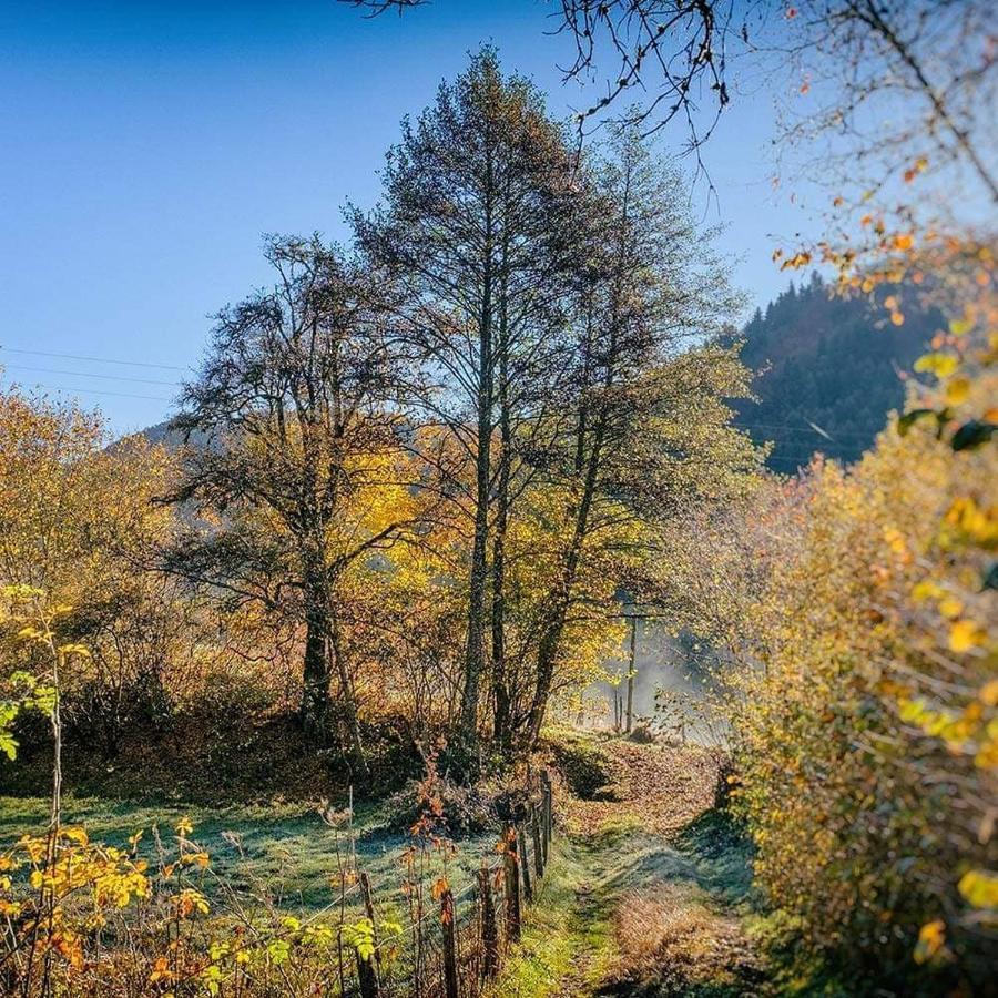 Bed and Breakfast Moulin Des Borderies Singles Esterno foto